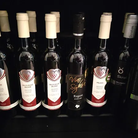 A Bistro Dilna Vendégház Třeboň